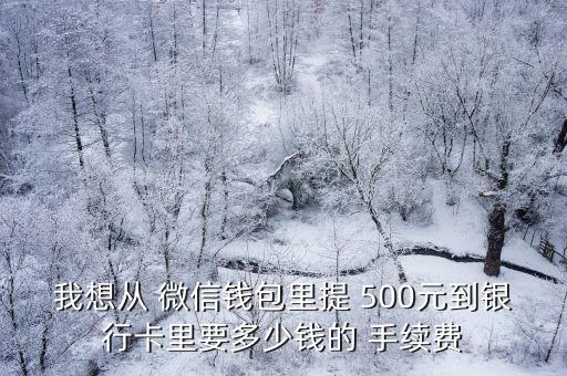 我想從 微信錢包里提 500元到銀行卡里要多少錢的 手續(xù)費