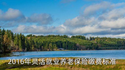 2016年交保險多少錢,2022年個人保險交多少