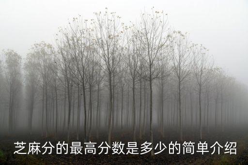 芝麻評分600 多少錢能達到