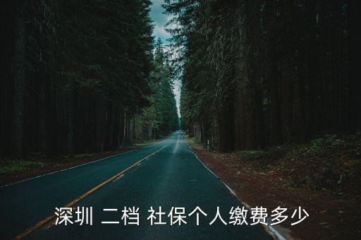 深圳二檔社保一年賬戶余額多少