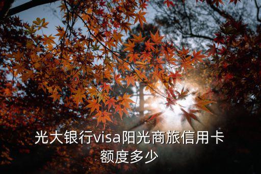  光大銀行visa陽(yáng)光商旅信用卡 額度多少