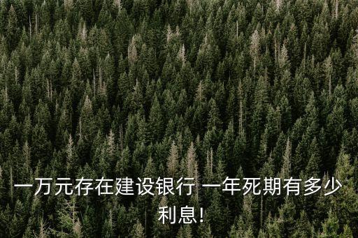 1萬存建行一年利息多少錢,500萬存建行一年利息多少