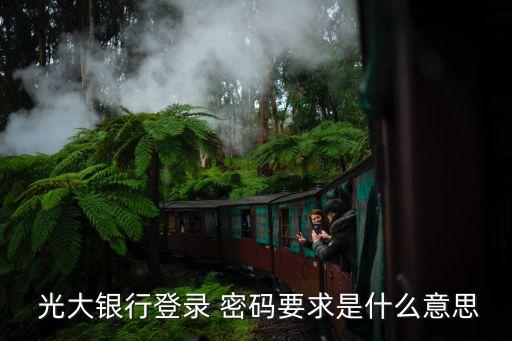  光大銀行登錄 密碼要求是什么意思