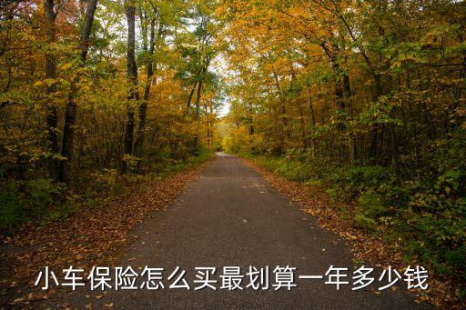 小車保險怎么買最劃算一年多少錢