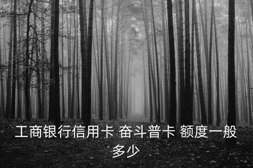 工商銀行信用卡 奮斗普卡 額度一般多少