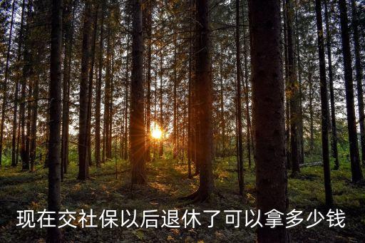現(xiàn)在交社保以后退休了可以拿多少錢