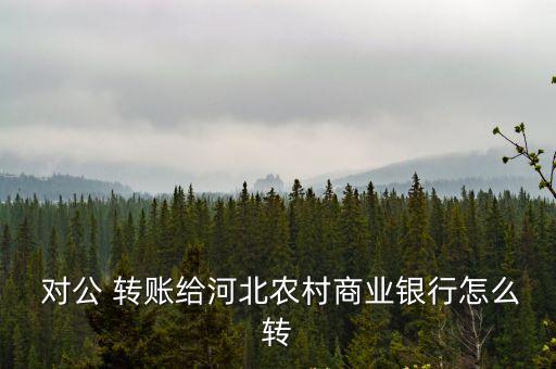  對(duì)公 轉(zhuǎn)賬給河北農(nóng)村商業(yè)銀行怎么轉(zhuǎn)