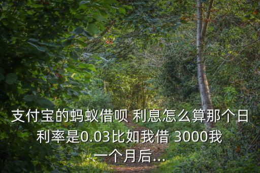 支付寶的螞蟻借唄 利息怎么算那個日利率是0.03比如我借 3000我一個月后...