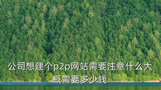 公司想建個(gè)p2p網(wǎng)站需要注意什么大概需要多少錢(qián)