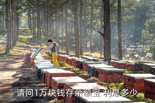 請問1萬塊錢存余額寶 利息多少