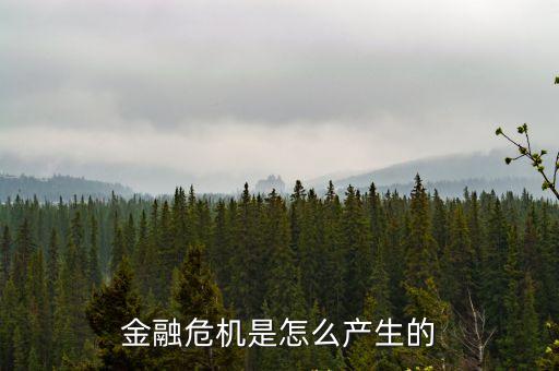 金融危機是怎么產(chǎn)生的
