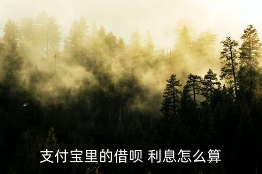 螞蟻借唄500利息多少錢,借500萬一個月利息多少