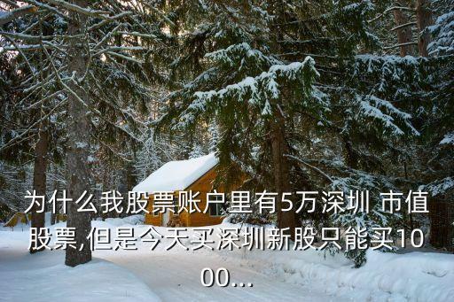 為什么我股票賬戶(hù)里有5萬(wàn)深圳 市值股票,但是今天買(mǎi)深圳新股只能買(mǎi)1000...