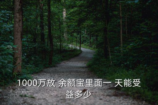 1000萬(wàn)放 余額寶里面一 天能受益多少