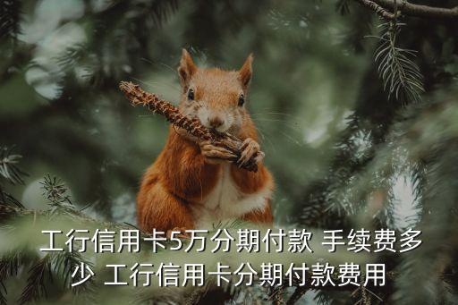 工行5000分期手續(xù)費是多少錢,工行分期手續(xù)費為什么一次性扣了