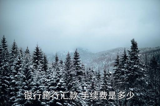 銀行跨行匯款 手續(xù)費(fèi)是多少