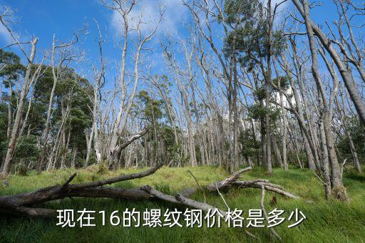 現(xiàn)在16的螺紋鋼價(jià)格是多少