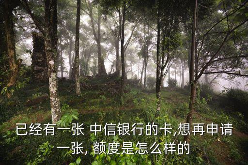 已經(jīng)有一張 中信銀行的卡,想再申請一張, 額度是怎么樣的