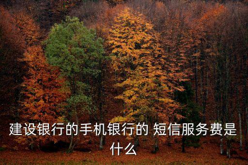 建設(shè)銀行的手機銀行的 短信服務費是什么