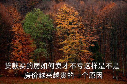 房價(jià)計(jì)算機(jī)賣多少錢一個(gè)月,計(jì)算機(jī)專利能賣多少錢