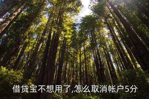  借貸寶不想用了,怎么取消帳戶5分