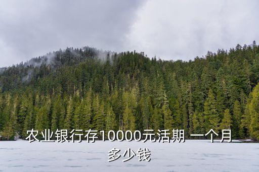 農(nóng)業(yè)銀行存10000元活期 一個月多少錢