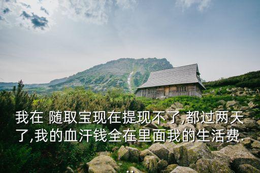 我在 隨取寶現(xiàn)在提現(xiàn)不了,都過(guò)兩天了,我的血汗錢全在里面我的生活費(fèi)...