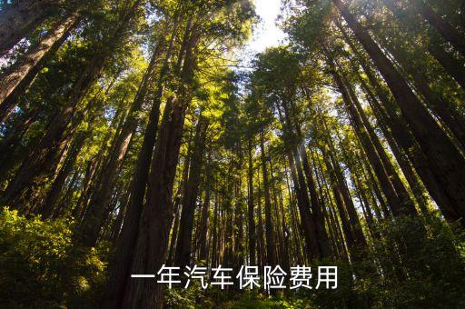 車商業(yè)保險一年是多少,2.0t車商業(yè)保險一年多少錢