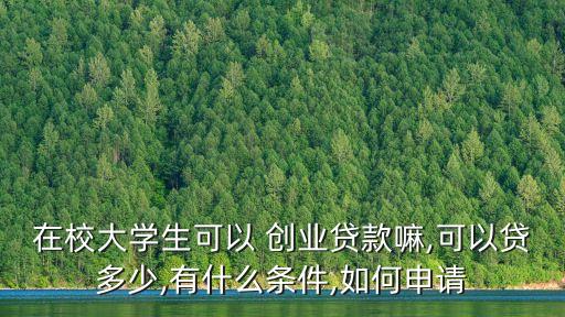 在校大學(xué)生可以 創(chuàng)業(yè)貸款嘛,可以貸多少,有什么條件,如何申請(qǐng)