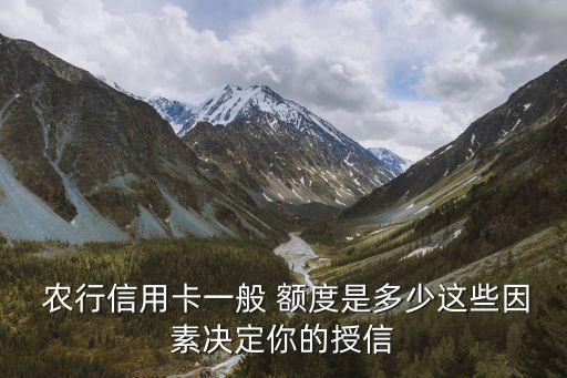 農(nóng)行卡網(wǎng)申額度是多少