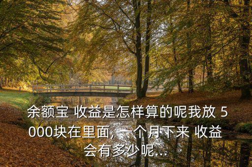  余額寶 收益是怎樣算的呢我放 5000塊在里面, 一個(gè)月下來(lái) 收益會(huì)有多少呢...