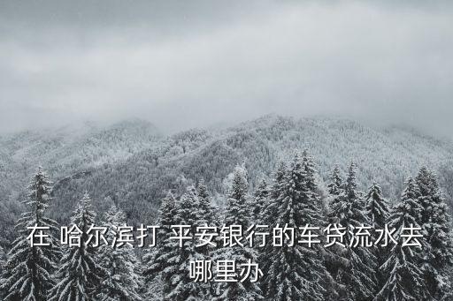 在 哈爾濱打 平安銀行的車貸流水去哪里辦