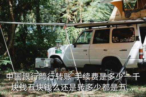 中行轉(zhuǎn)浦發(fā)手續(xù)費(fèi)多少,浦發(fā)轉(zhuǎn)浦發(fā)要手續(xù)費(fèi)嗎