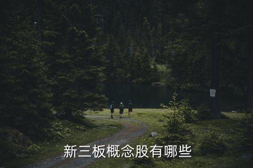  新三板概念股有哪些