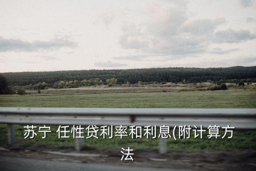 蘇寧 任性貸利率和利息(附計(jì)算方法