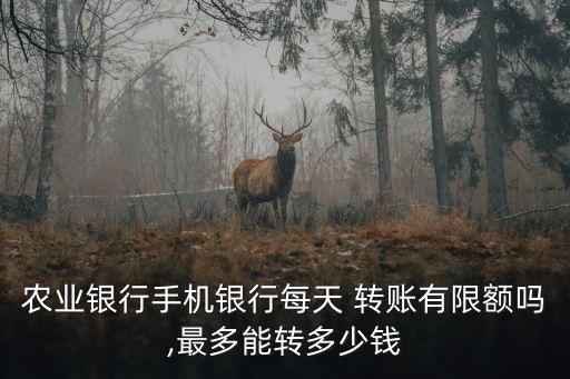 農(nóng)業(yè)銀行手機(jī)銀行每天 轉(zhuǎn)賬有限額嗎,最多能轉(zhuǎn)多少錢
