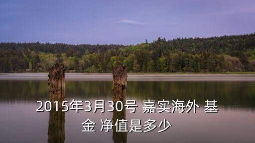 2015年3月30號(hào) 嘉實(shí)海外 基金 凈值是多少