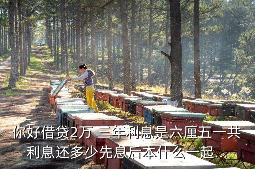 你好借貸2萬 三年利息是六厘五一共利息還多少先息后本什么一起...