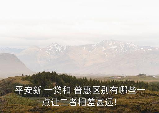  平安新 一貸和 普惠區(qū)別有哪些一點讓二者相差甚遠!