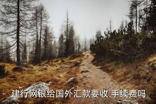  建行網(wǎng)銀給國外匯款要收 手續(xù)費(fèi)嗎