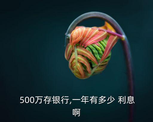 500萬一分利息多少,借唄500一個月利息多少