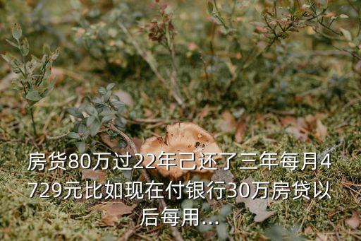 80萬貸款3年月供多少,抵押貸款50萬十年月供多少