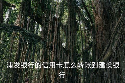 浦發(fā)轉(zhuǎn)建行多少手續(xù)費(fèi)多少,浦發(fā)銀行卡在建行取款手續(xù)費(fèi)