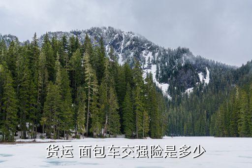 我的是面包車保險買多少好呢