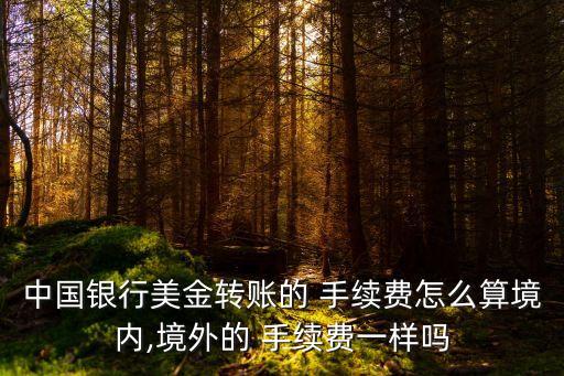 中國銀行美金轉(zhuǎn)賬的 手續(xù)費怎么算境內(nèi),境外的 手續(xù)費一樣嗎