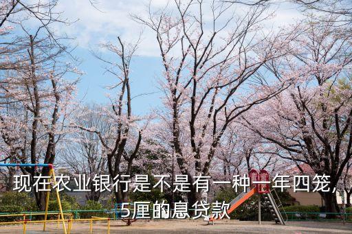 現(xiàn)在農(nóng)業(yè)銀行是不是有一種一年四籠,5厘的息貸款