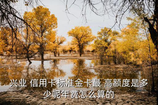 興業(yè) 信用卡標(biāo)準(zhǔn)金卡最 高額度是多少呢年費(fèi)怎么算的