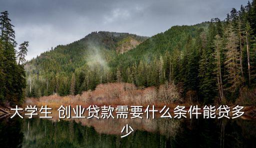 創(chuàng)業(yè)借貸可以貸多少,小額借貸能貸多少