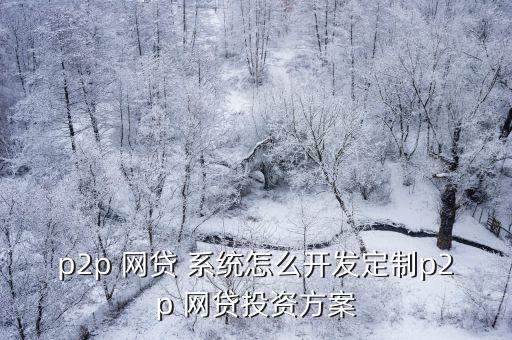 p2p 網(wǎng)貸 系統(tǒng)怎么開發(fā)定制p2p 網(wǎng)貸投資方案
