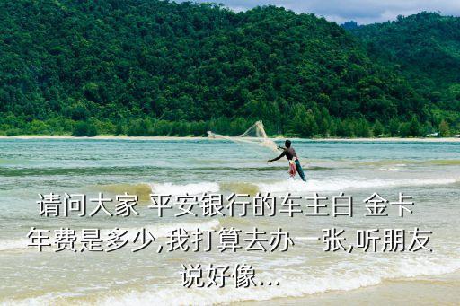 平安標(biāo)準(zhǔn)白金卡年費(fèi)多少,平安精英白金卡年費(fèi)600剛性收取